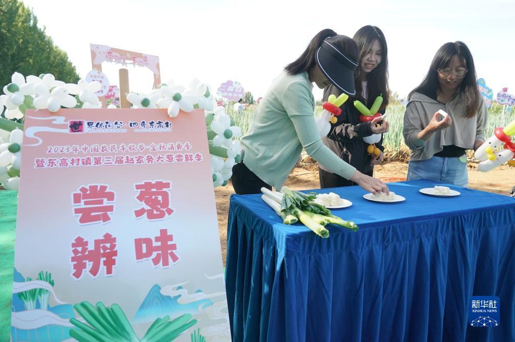 pt体育游戏官网